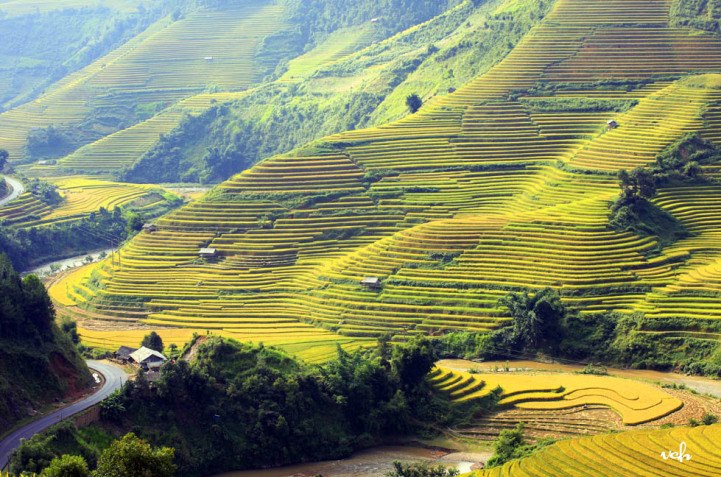 Découvrez Mu Cang Chai en illimité