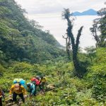 Trek on the forest