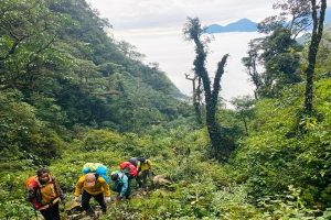 Trek on the forest