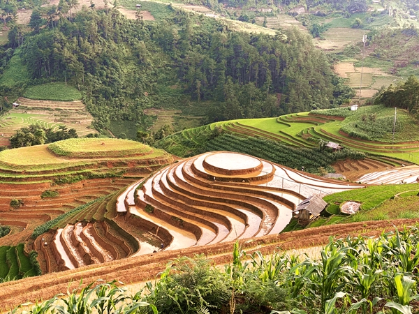 Ce qui attire les touristes à Mu Cang Chai? 