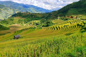 Kim Noi Terraces View