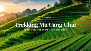 Trekking Mu Cang Chai